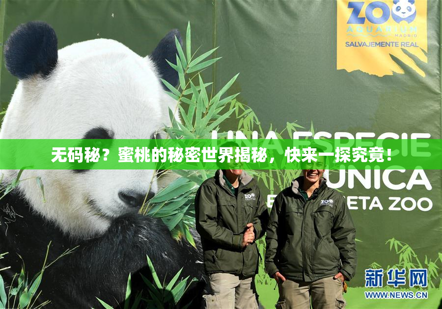 无码秘？蜜桃的秘密世界揭秘，快来一探究竟！
