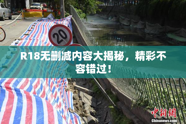 R18无删减内容大揭秘，精彩不容错过！