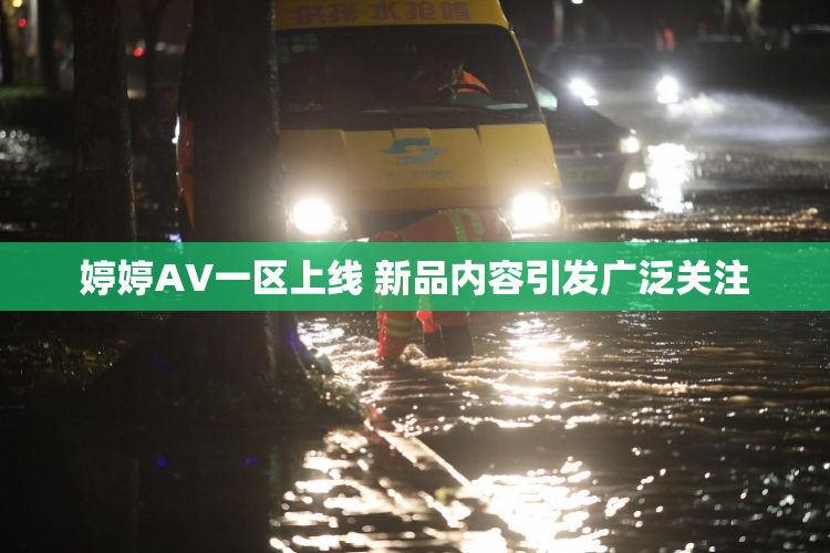 婷婷AV一区上线 新品内容引发广泛关注