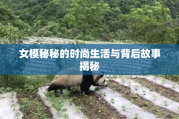 女模秘秘的时尚生活与背后故事揭秘
