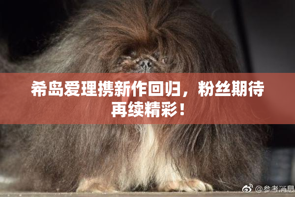 希岛爱理携新作回归，粉丝期待再续精彩！