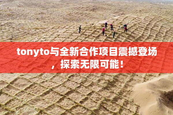 tonyto与全新合作项目震撼登场，探索无限可能！