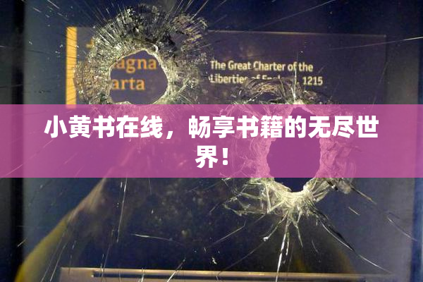 小黄书在线，畅享书籍的无尽世界！