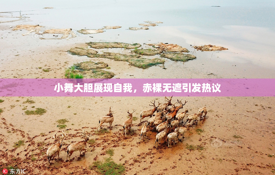 小舞大胆展现自我，赤裸无遮引发热议