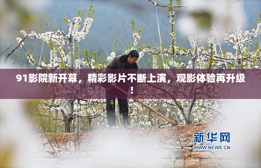 91影院新开幕，精彩影片不断上演，观影体验再升级！