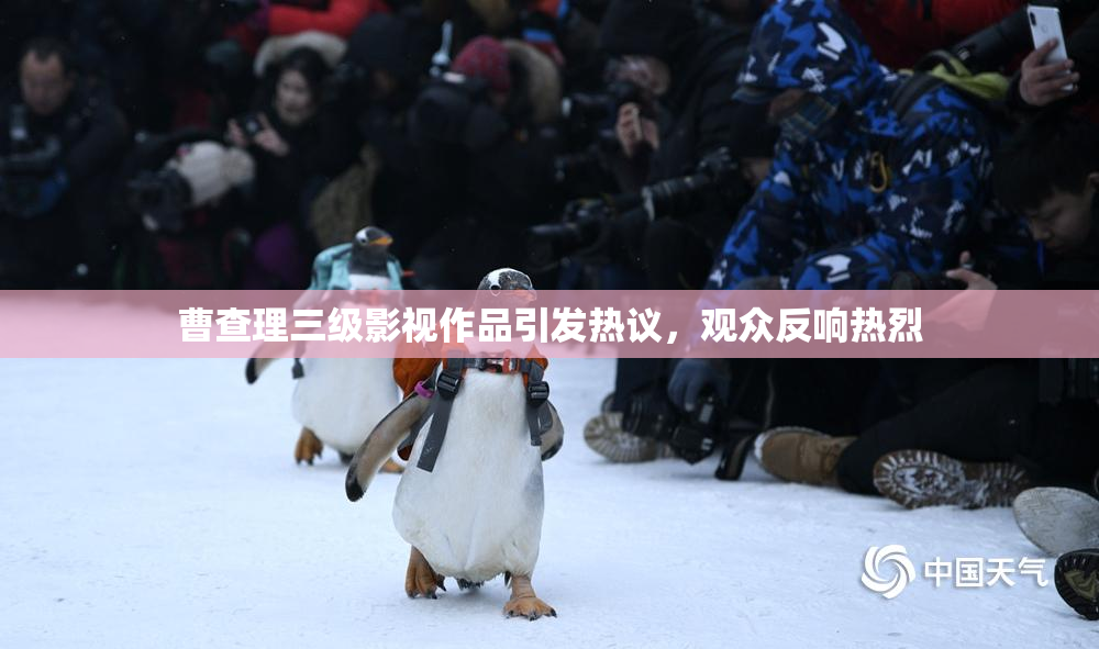 曹查理三级影视作品引发热议，观众反响热烈