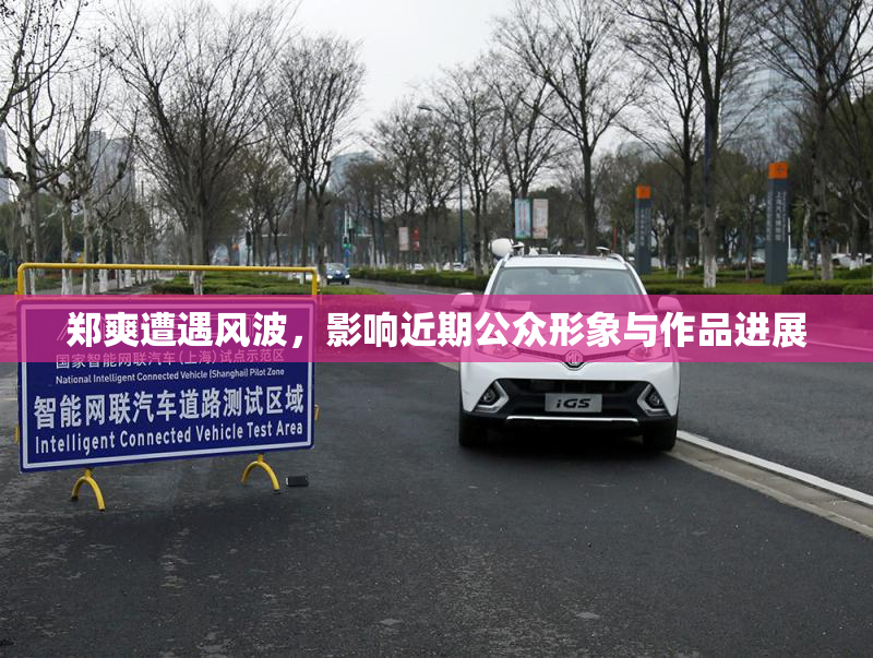 郑爽遭遇风波，影响近期公众形象与作品进展