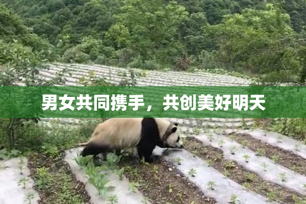 男女共同携手，共创美好明天