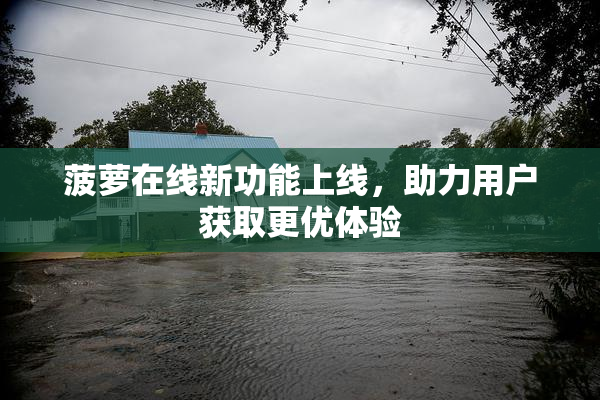 菠萝在线新功能上线，助力用户获取更优体验