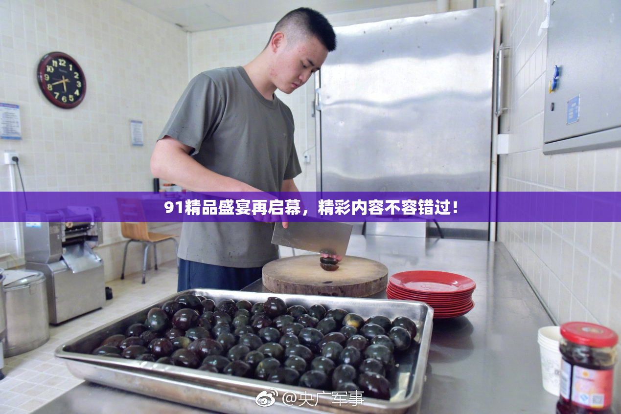 91精品盛宴再启幕，精彩内容不容错过！