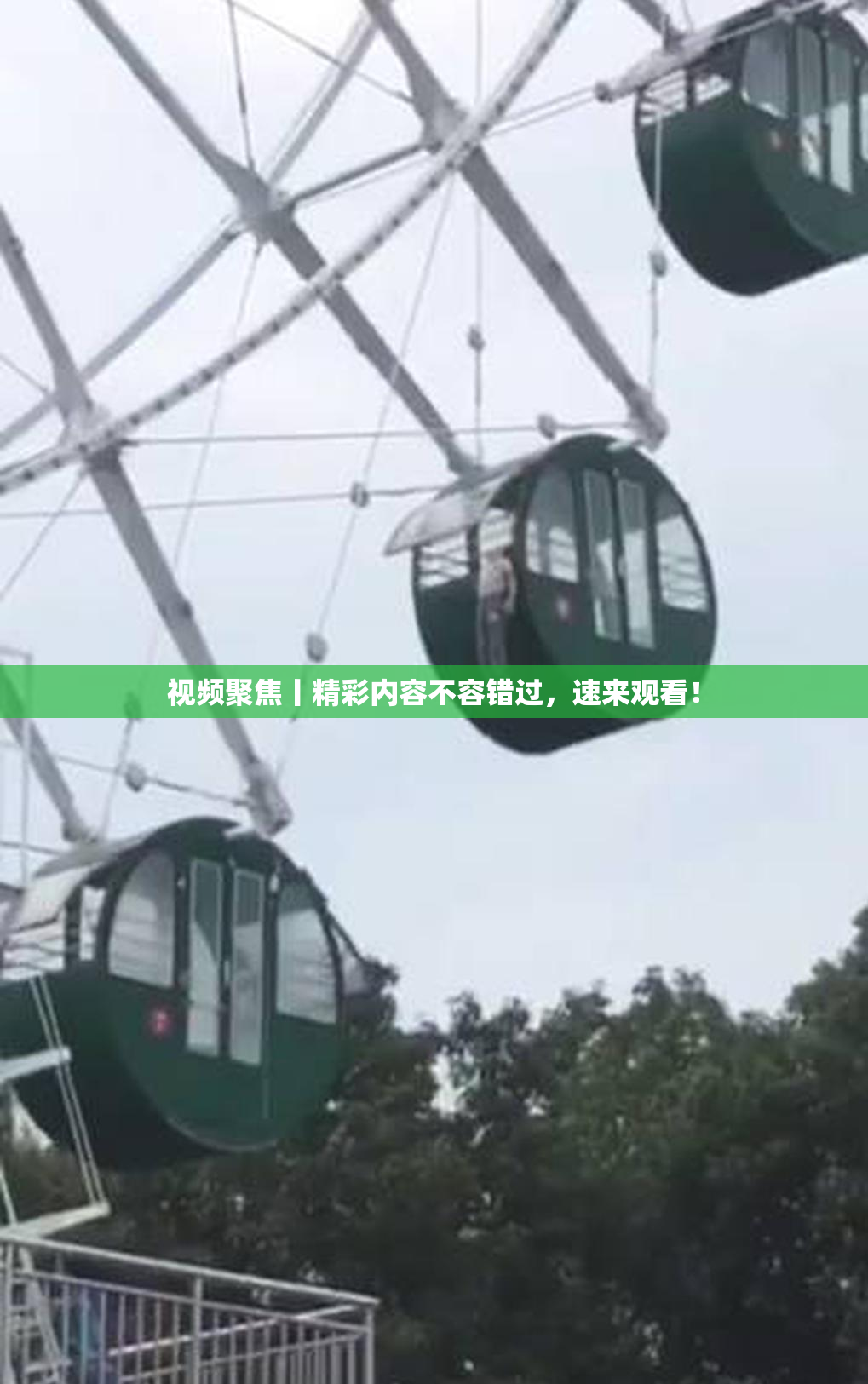视频聚焦丨精彩内容不容错过，速来观看！