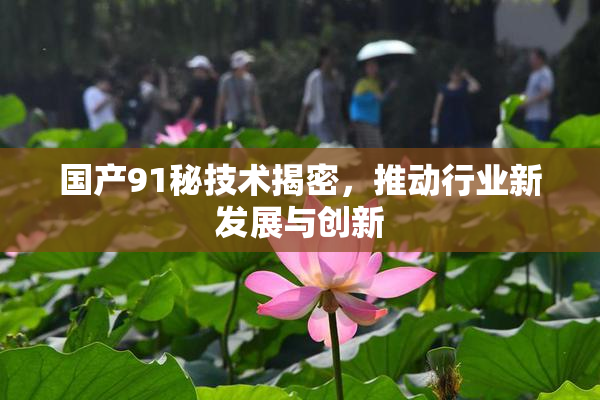 国产91秘技术揭密，推动行业新发展与创新