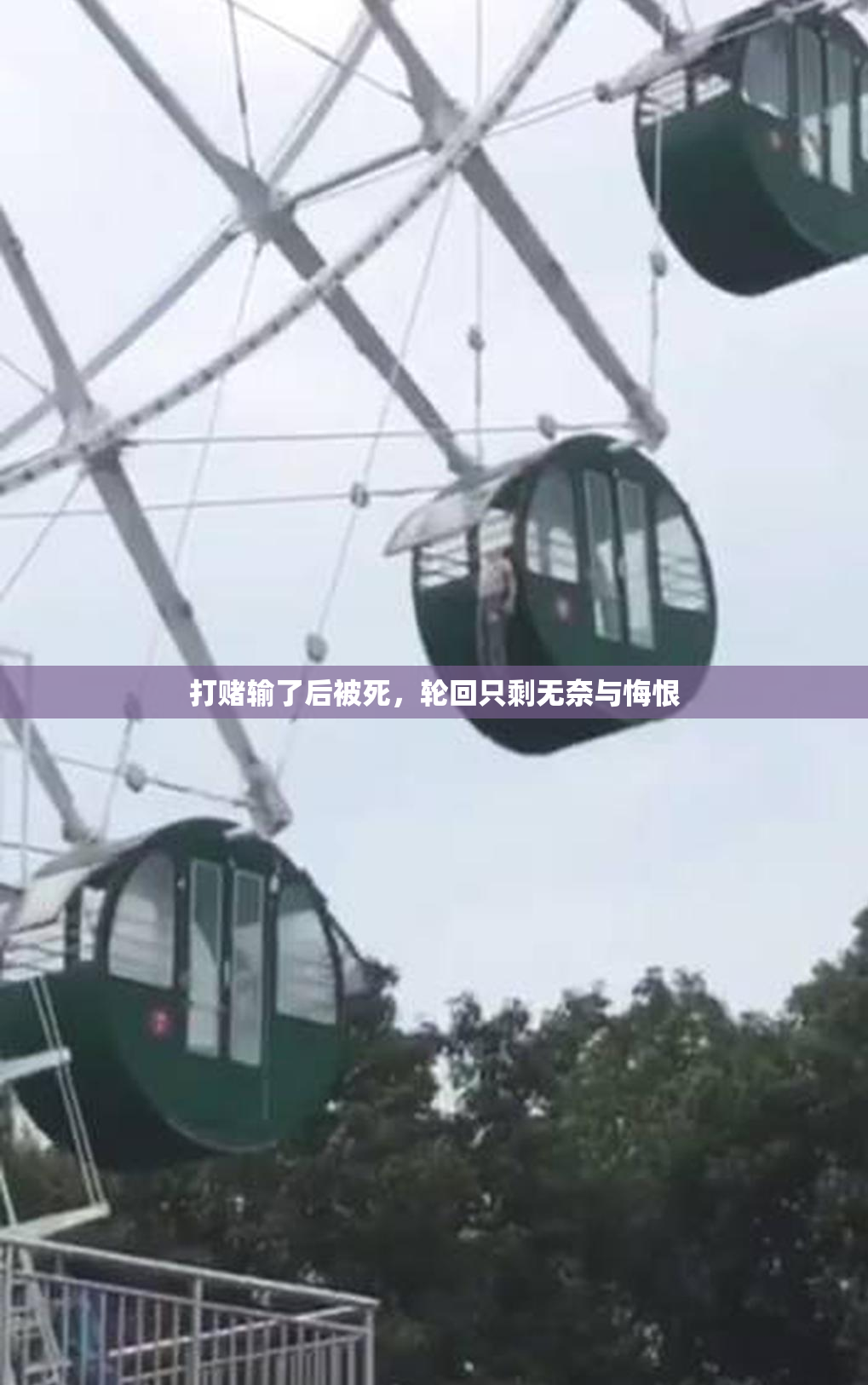 打赌输了后被死，轮回只剩无奈与悔恨
