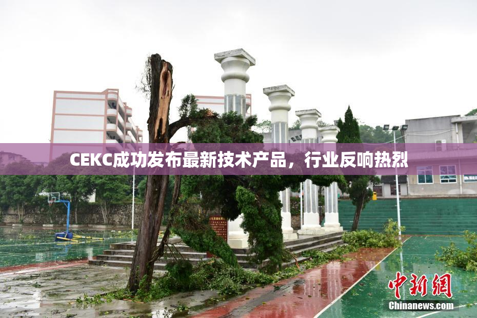 CEKC成功发布最新技术产品，行业反响热烈
