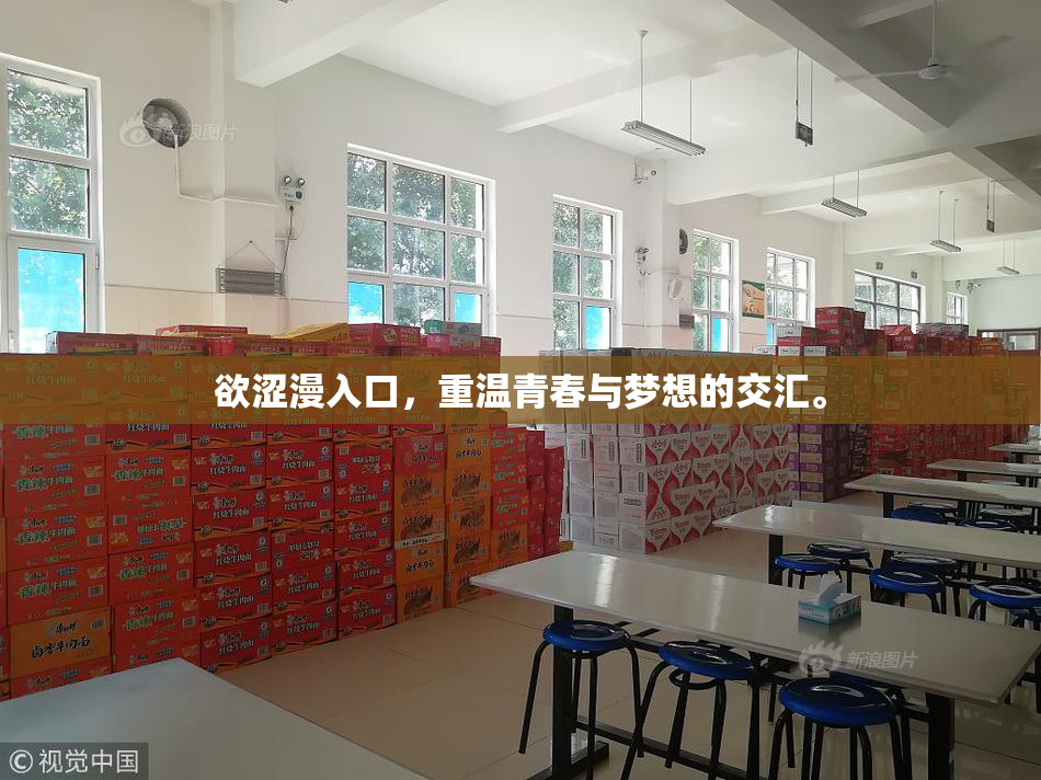 欲涩漫入口，重温青春与梦想的交汇。