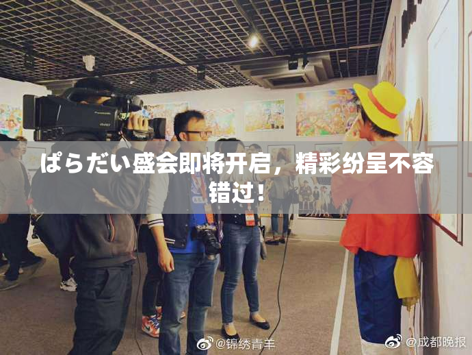 ぱらだい盛会即将开启，精彩纷呈不容错过！