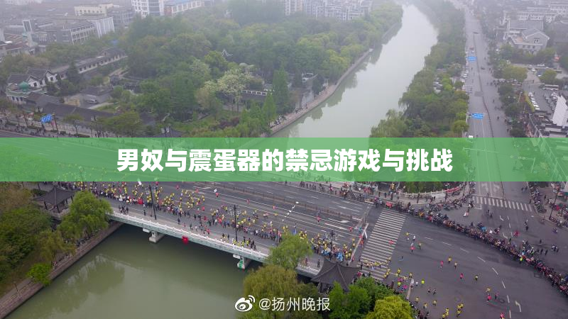 男奴与震蛋器的禁忌游戏与挑战
