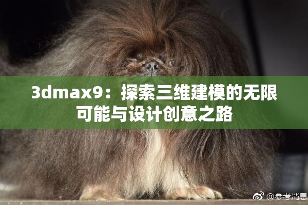 3dmax9：探索三维建模的无限可能与设计创意之路