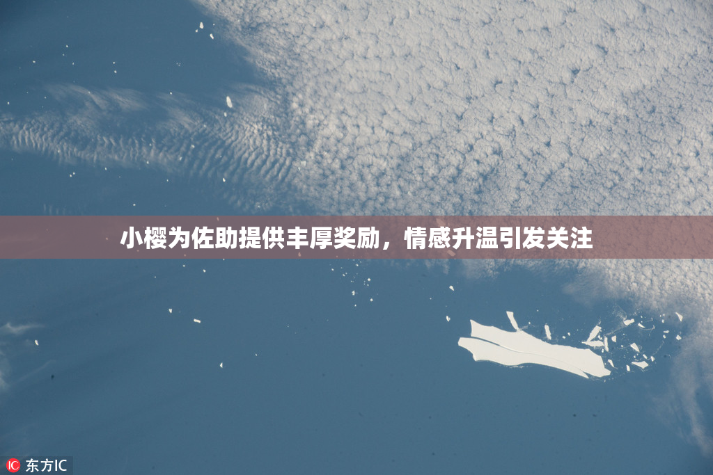 小樱为佐助提供丰厚奖励，情感升温引发关注