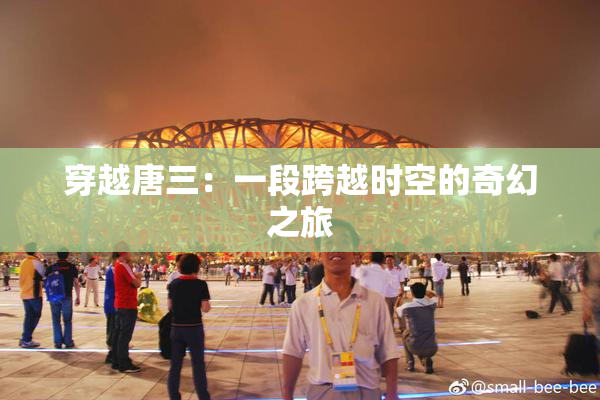 穿越唐三：一段跨越时空的奇幻之旅