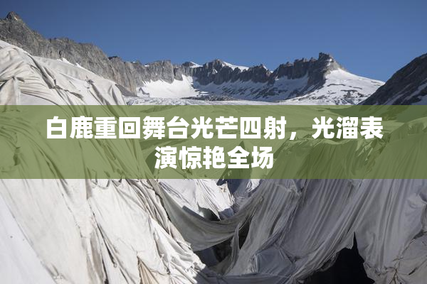 白鹿重回舞台光芒四射，光溜表演惊艳全场