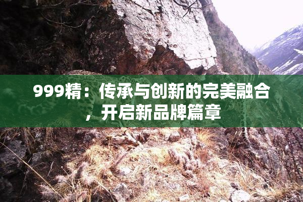 999精：传承与创新的完美融合，开启新品牌篇章