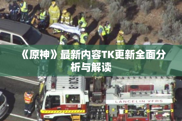 《原神》最新内容TK更新全面分析与解读