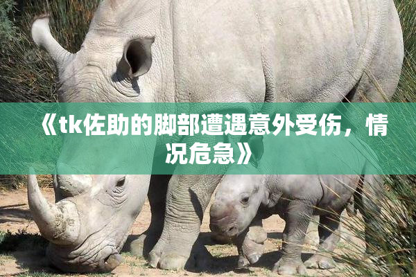 《tk佐助的脚部遭遇意外受伤，情况危急》