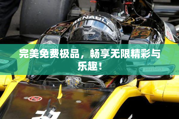 完美免费极品，畅享无限精彩与乐趣！