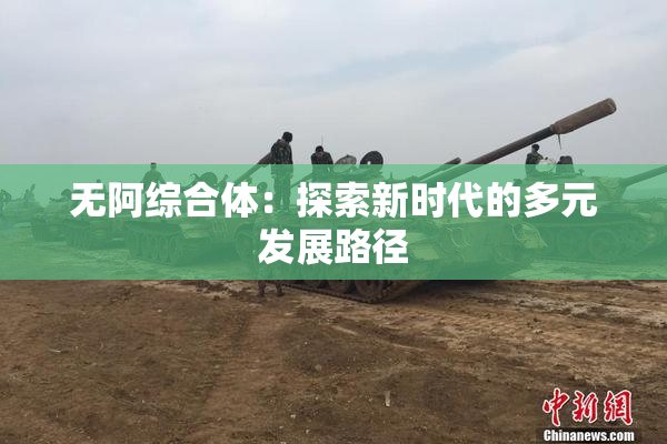 无阿综合体：探索新时代的多元发展路径