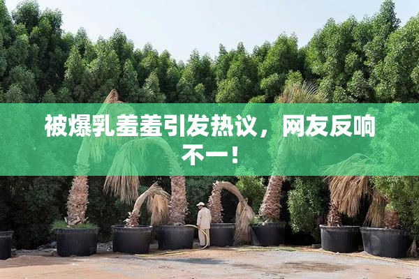 被爆乳羞羞引发热议，网友反响不一！
