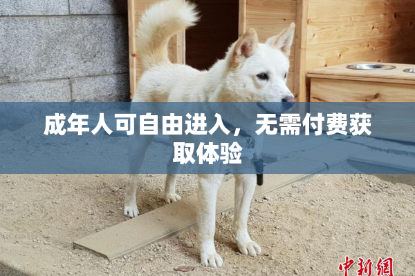 成年人可自由进入，无需付费获取体验
