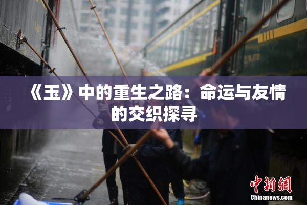 《玉》中的重生之路：命运与友情的交织探寻