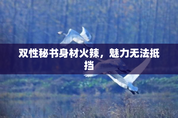 双性秘书身材火辣，魅力无法抵挡