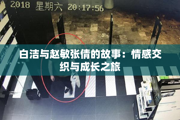 白洁与赵敏张倩的故事：情感交织与成长之旅