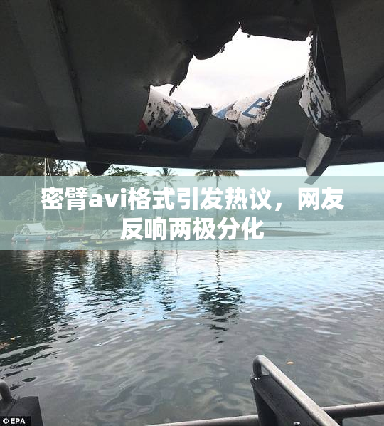 密臂avi格式引发热议，网友反响两极分化