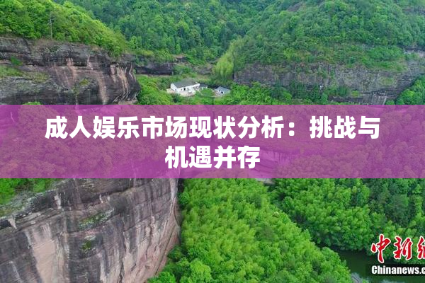 成人娱乐市场现状分析：挑战与机遇并存