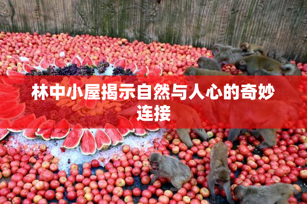 林中小屋揭示自然与人心的奇妙连接