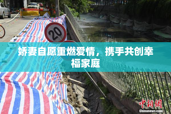 娇妻自愿重燃爱情，携手共创幸福家庭