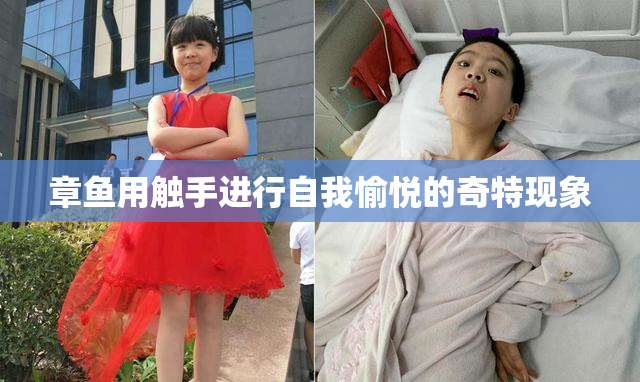章鱼用触手进行自我愉悦的奇特现象