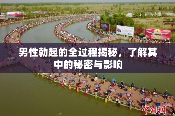男性勃起的全过程揭秘，了解其中的秘密与影响