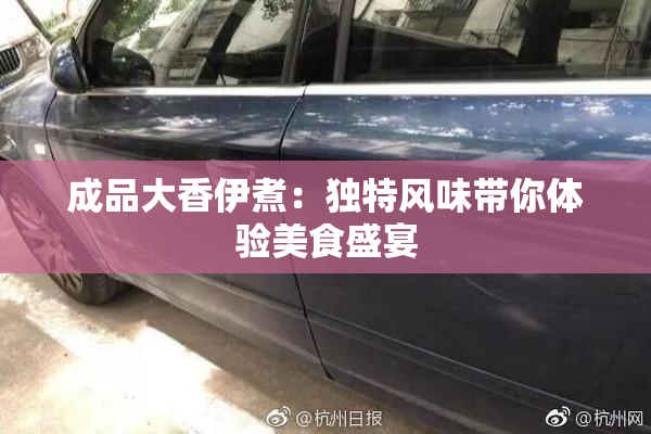 成品大香伊煮：独特风味带你体验美食盛宴