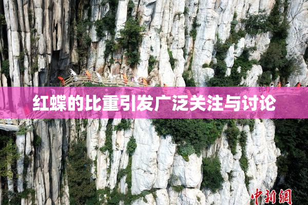 红蝶的比重引发广泛关注与讨论