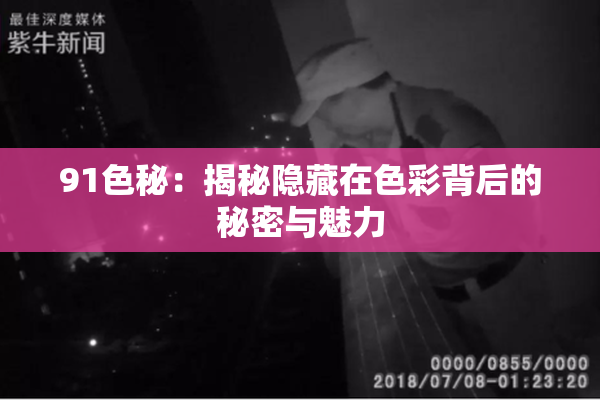 91色秘：揭秘隐藏在色彩背后的秘密与魅力