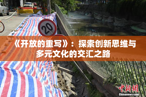 《开放的重写》：探索创新思维与多元文化的交汇之路