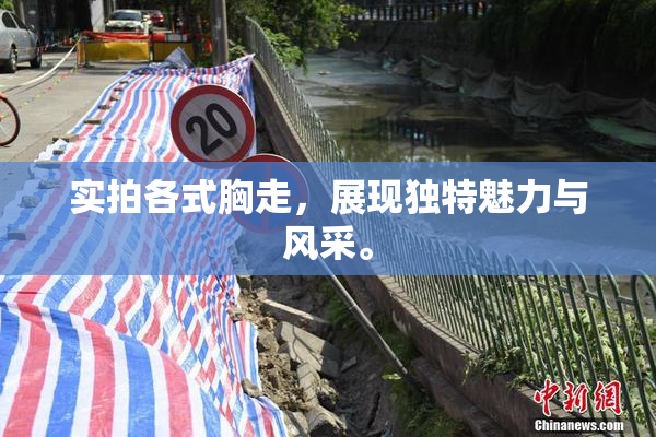 实拍各式胸走，展现独特魅力与风采。
