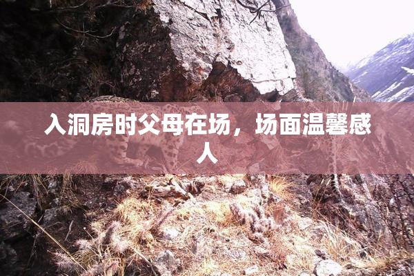 入洞房时父母在场，场面温馨感人