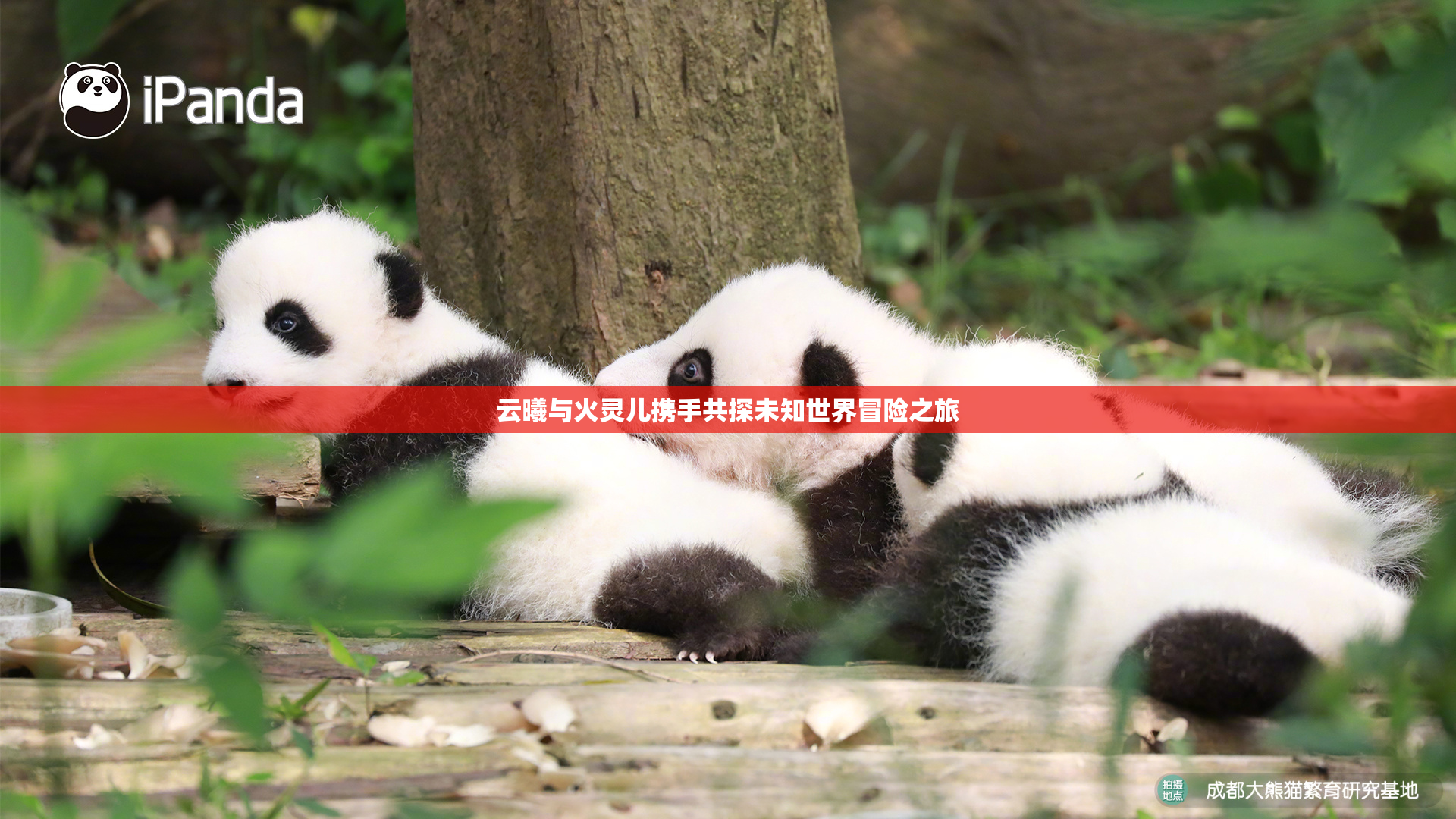 云曦与火灵儿携手共探未知世界冒险之旅