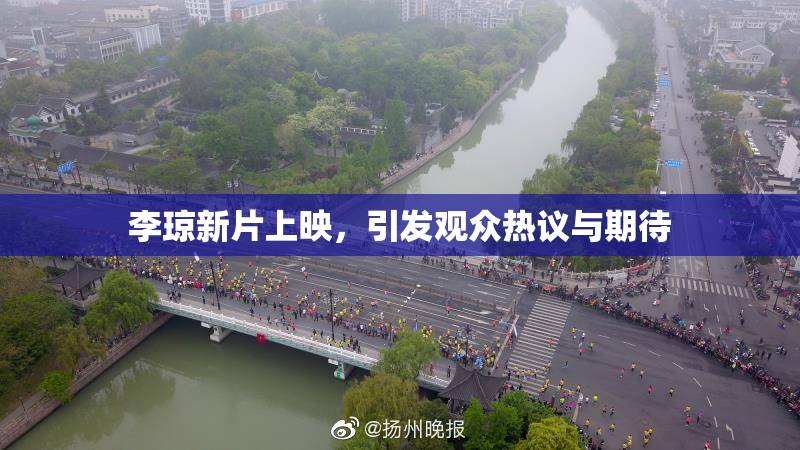 李琼新片上映，引发观众热议与期待