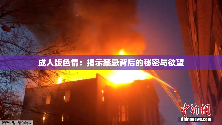 成人版色情：揭示禁忌背后的秘密与欲望